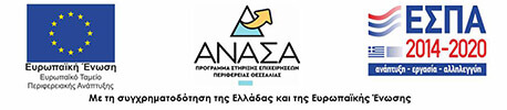 ΑΝΑΣΑ λογότυπο